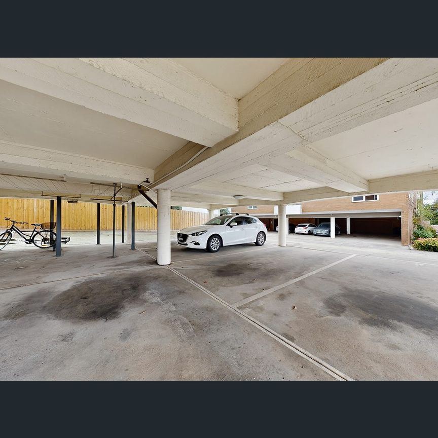 11/2 Calvin Street, Hawthorn, Vic 3122 - Photo 1