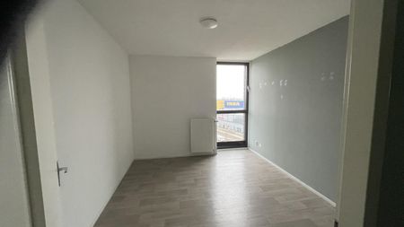 Het Hout 173 - Photo 2