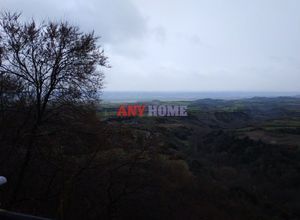 Διαμέρισμα για ενοικίαση - Κορώνεια - Photo 4