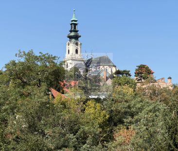 NA PRENÁJOM 2 IZBOVÝ BYT S TERASOU A BALKÓNOM NITRA CENTRUM – Fotografia 2