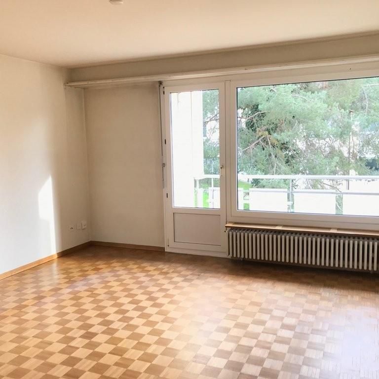 Charmante Wohnung an der Limmat zu vermieten! - Photo 1