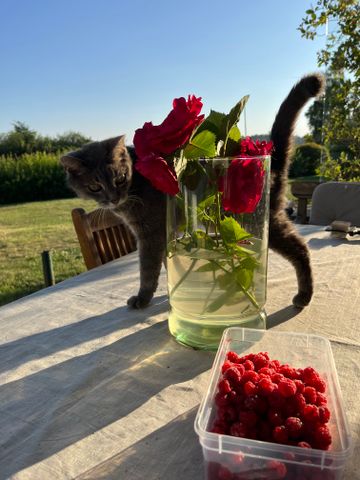 Kanans väg, Ekerö - Foto 3