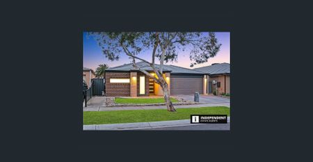 $480pw/$2086/4bed/2bath/2car - Photo 2