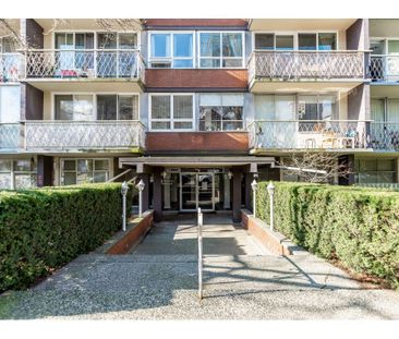 The Martinique - Photo 6