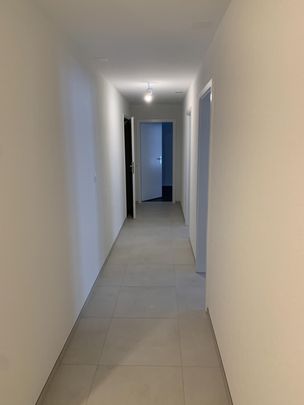 Rue Louis-Agassiz 8 – apartment Rez Center - Photo 1