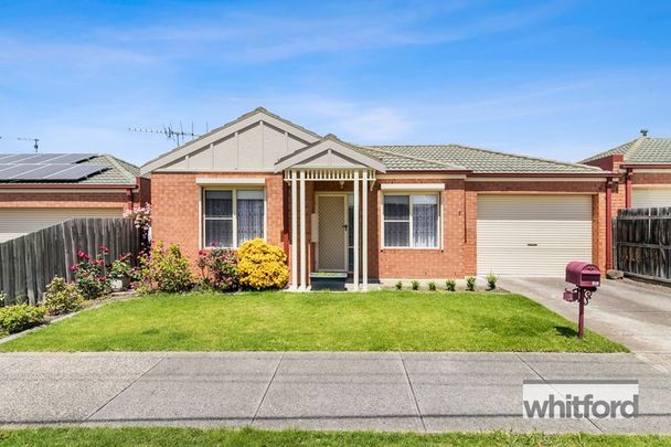 5 Drysdale Avenue, VIC 3215, Hamlyn Heights - Photo 1