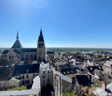 BLOIS - Coup de coeur - Photo 1