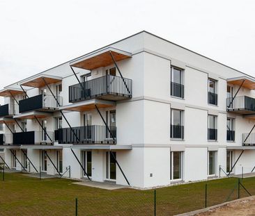 BLINDENMARKT I/3 - Photo 2