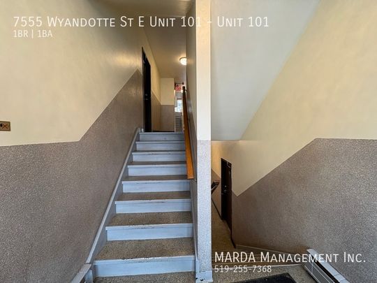 NEWLY RENOVATED 1-BEDROOM/1-BATH APARTMENT + HYDRO - Photo 1