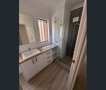 Freshly renovated, light-filled home - Photo 2