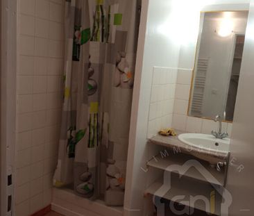 Location Appartement 2 pièces 43m² - Photo 6