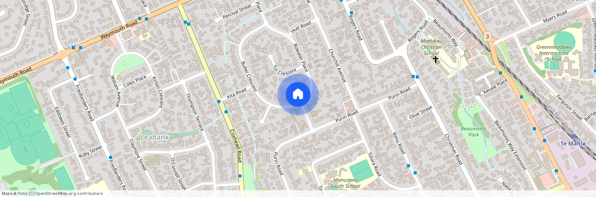 35 Bowater Place, Manurewa, Manukau City