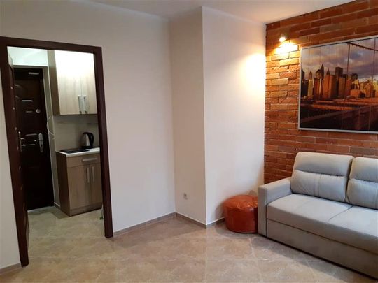 Mieszkanie 1 pokojowe wynajem - Zdjęcie 1