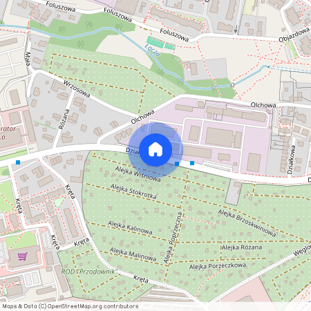 ul. Działkowa, Centrum, Zielona Góra, lubuskie