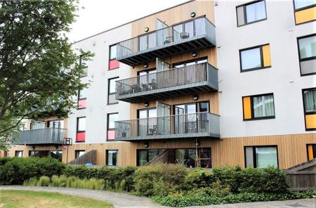 1 bedroom flat to rent - Photo 4