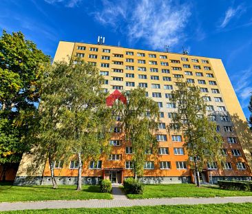 Pronájem bytu 1+1 36 m² - Photo 1