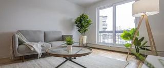 1 room apartment of 53m² in Montreal - Photo 1