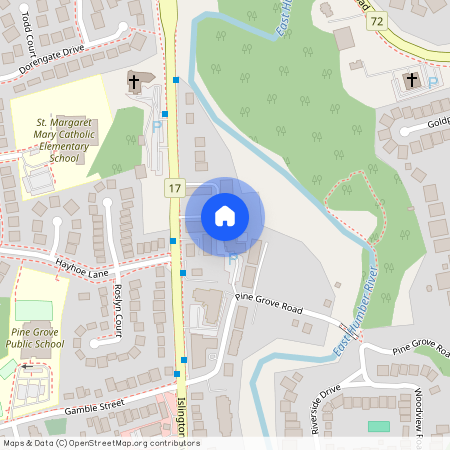 41 Hiawatha Court, Vaughan