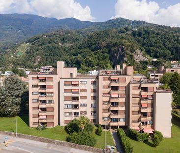 Pratico 3.5 locali - Photo 5