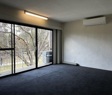 Charming Two Bedroom Unit in Farrer - Photo 6