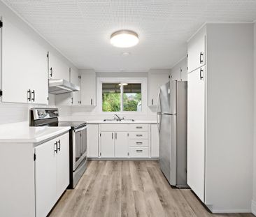 For Lease - 158 Ruggles Avenue, Richmond Hill, Ontario - Photo 4