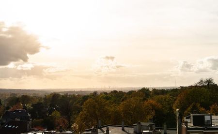 Penthouse te huur - Foto 3