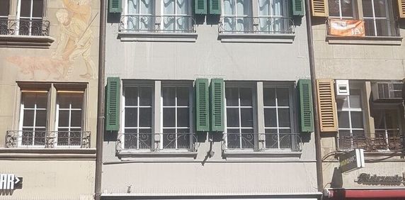 BIG CITY LIFE IN THE HEART OF BERN - Photo 2