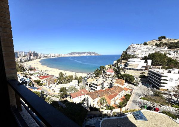 Apartamento en Benidorm, La Cala - Hotel Bali, alquiler