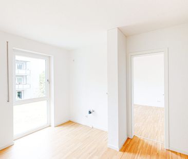 Moderne 2-Zimmer-Wohnung in ruhiger Lage - Photo 4
