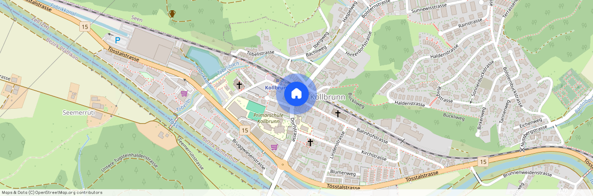 8483 Kollbrunn