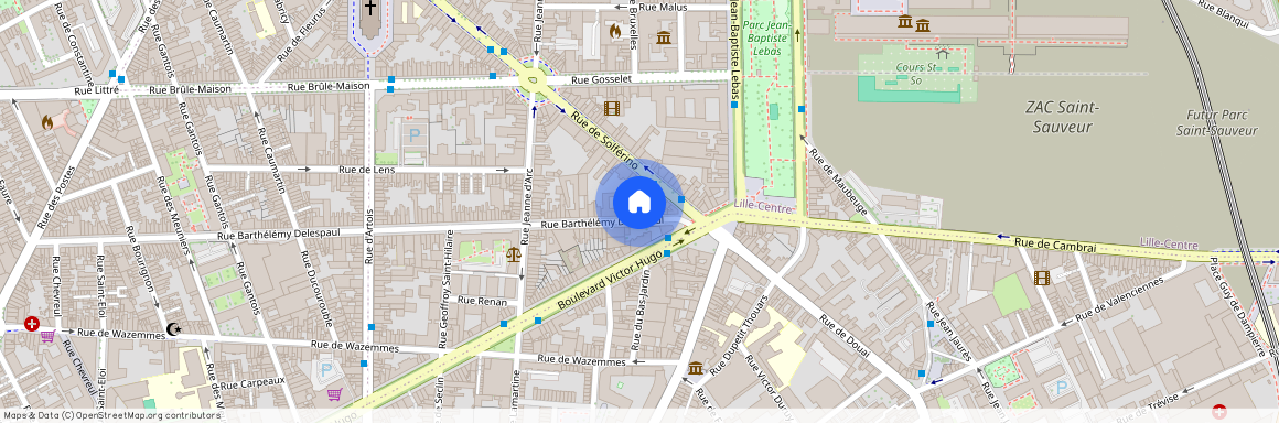 184 Rue Barthélémy Delespaul, 59000 Lille