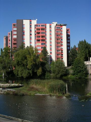 Location Appartement 1 pièce 30m² SARREGUEMINES 57200 - Photo 3