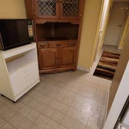 Spacious, Furnished 1-Bedroom Basement - near Leslie &York Mills - Cit - Photo 1