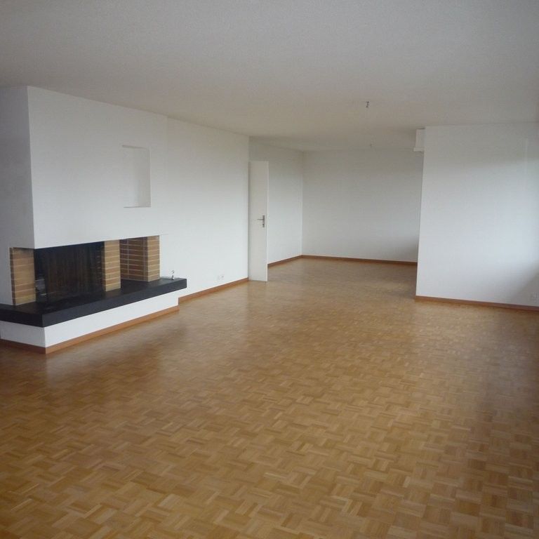 MIETEN OHNE KAUTION - Geniessen Sie die riesige Terrasse mit Seesicht - Photo 1