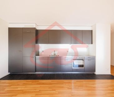 Appartement moderne de 3.5 pièces au rez-de-chaussée - Photo 5