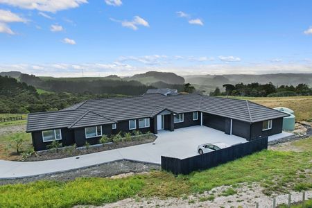 Brand New Lifestyle Home in Helensville - Photo 2