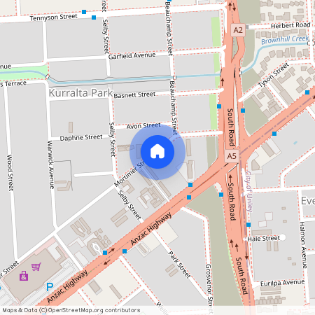 20A Mortimer St, SA 5037, Kurralta Park