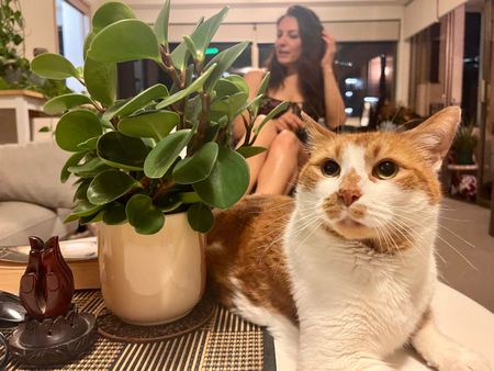 Woolloomooloo - Photo 3