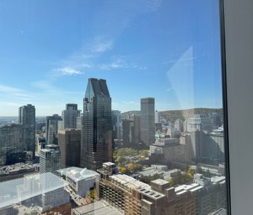 Appartement à louer - Montréal (Ville-Marie) (Centre) - Photo 6