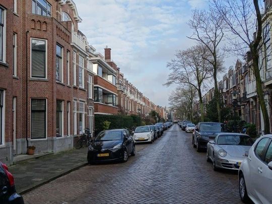 Te huur: Appartement Viviënstraat in Den Haag - Foto 1