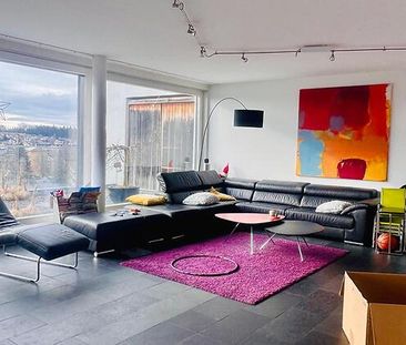 2½ Zimmer-Wohnung in Wetzikon (ZH), möbliert, auf Zeit - Photo 1