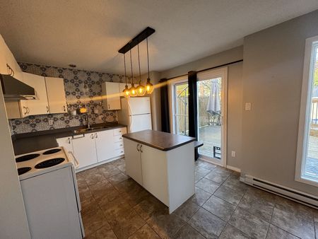 1683 Rue Joanette - Photo 5