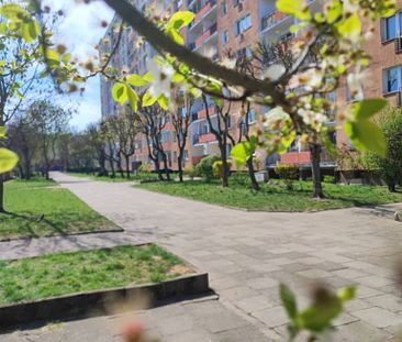 Przytulna kawalerka na wynajem - Photo 5