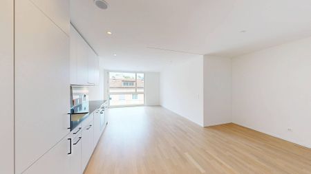 Gemütliche Wohnung in St. Gallen - Foto 2