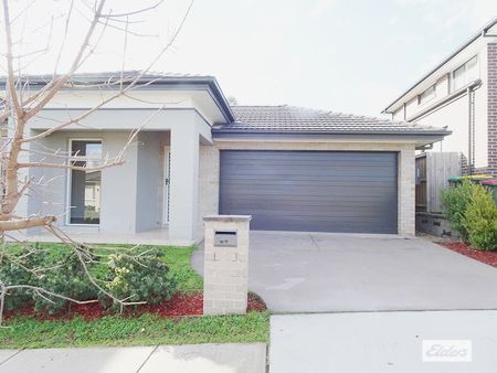 Comfortable 4 Bedroom Family Home - Photo 3