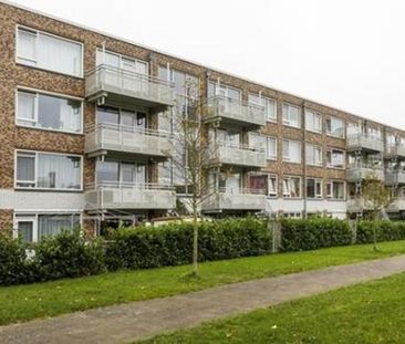 Hongkongdreef 3564 JJ Utrecht - Photo 1