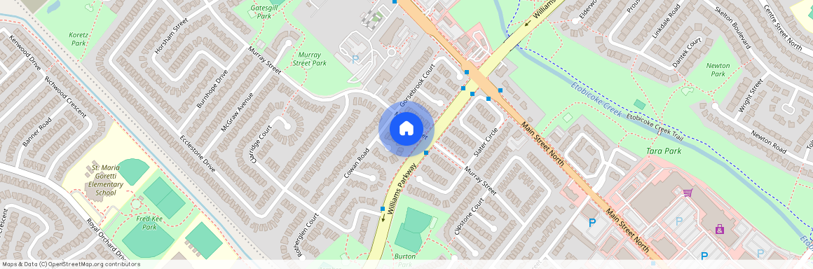 143 Murray Street Unit# Bsmt, Brampton