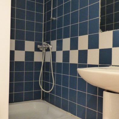 Studio Sceaux 18,99 m2 - Photo 3