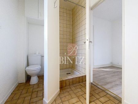 Location Appartement 2 pièces 36m² SCHILTIGHEIM 67300 - Photo 3