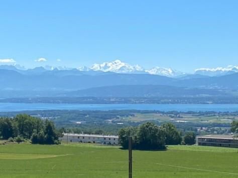 Villa jumelle de 270m2 utiles avec vue sur le lac, les Alpes et le Mont-Blanc - Photo 1